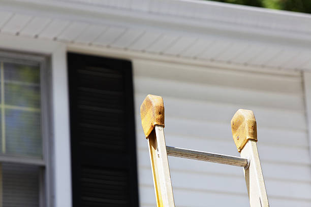 Best Steel Siding Installation  in Ramtown, NJ